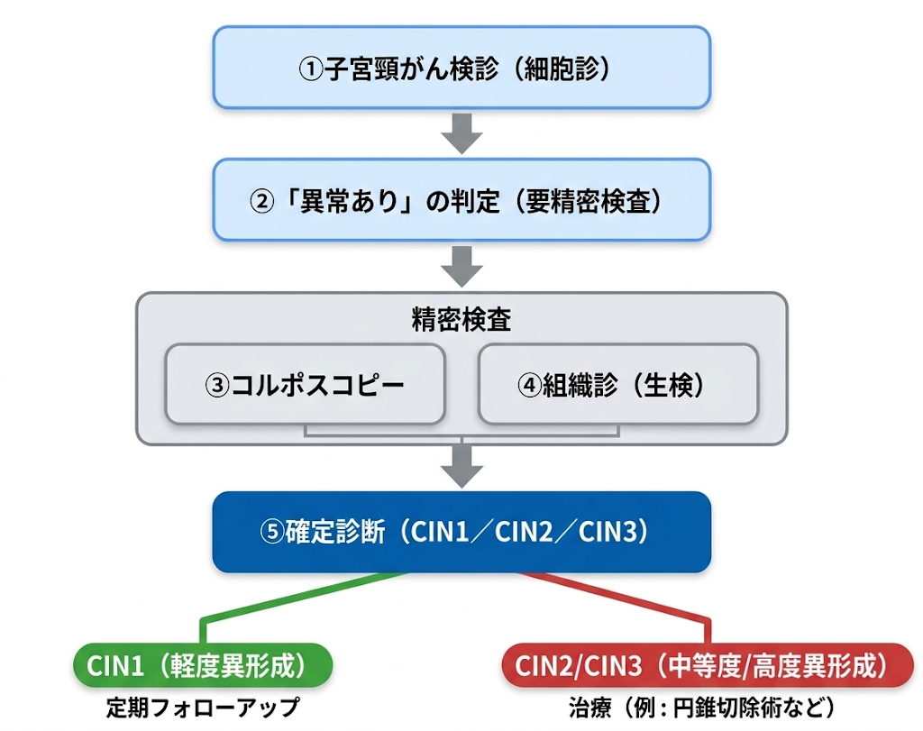 細胞診で異常があ査ればコルポスコピーと組織診による精密検が必要になる。